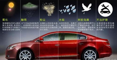 汽车电镀膜多少价格